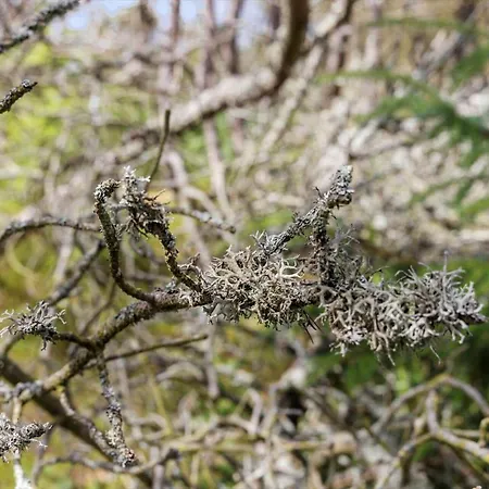 Tv1617-albaek-egernvej-11 *